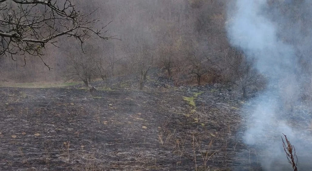 Incendii vegetație uscată. FOTO ISU Dâmbovița