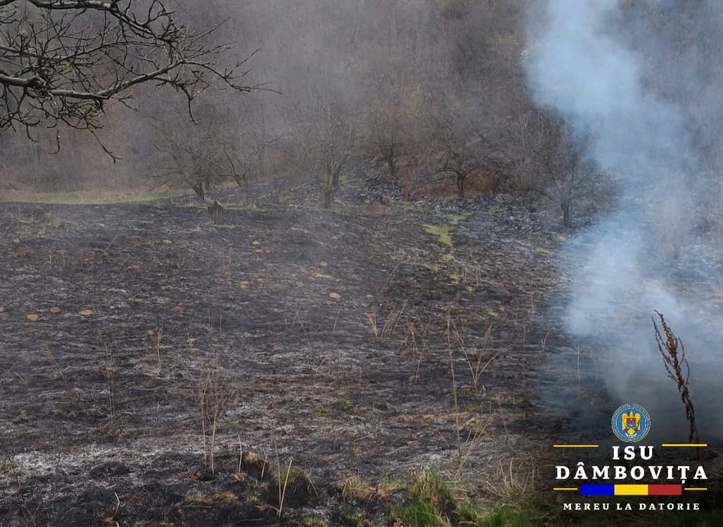 Incendii vegetație uscată. FOTO ISU Dâmbovița