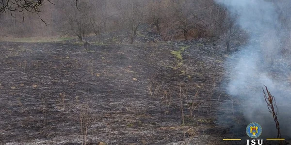 Incendii vegetație uscată. FOTO ISU Dâmbovița