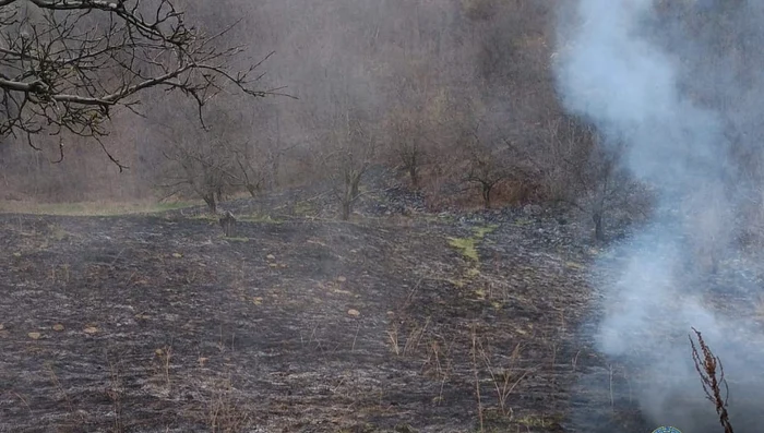 Incendii vegetație uscată. FOTO ISU Dâmbovița
