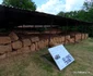 Cetatea dacică Costești  Foto Daniel Guță (8) jpg