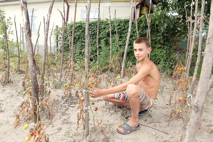 În Moldova este secetă extremă.  Legumele s-au  uscat şi oamenii  se tem de foamete