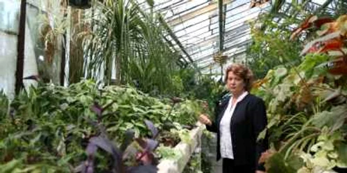 Plante de pe tot globul pământesc, în serele Grădinii Botanice