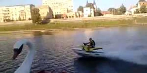 Spectacol de prost gust pe Timiş