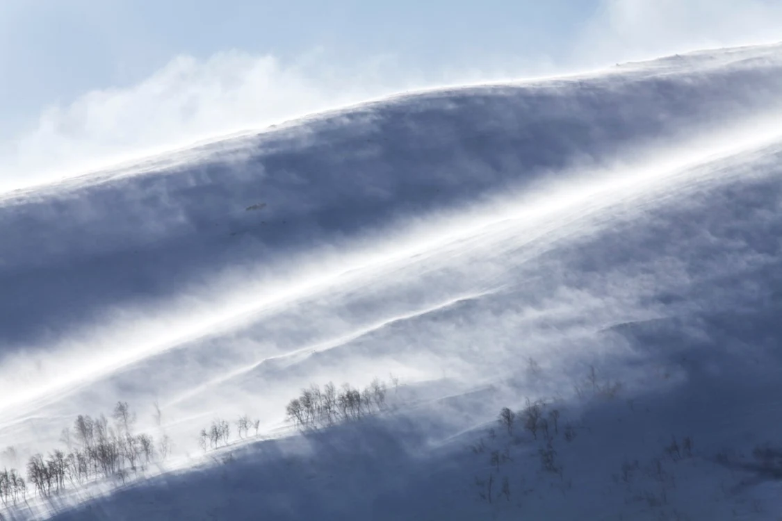 Vreme de iarnă autentică în România timp de 2 zile FOTO Shutterstock