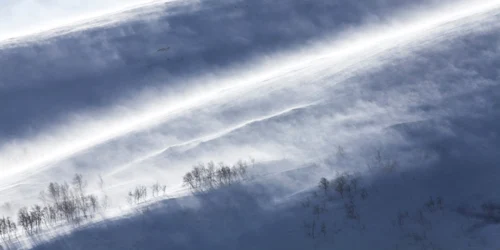 viscol la munte foto shutterstock