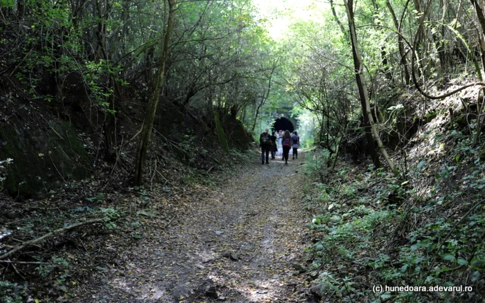 calea ferata hunedoara ghelari foto daniel guta adevarul