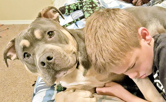 
    Michael a suferit  enorm din cauza  accidentului lui Loki  