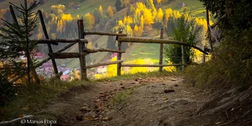 Plimbare de toamnă, prin Fundata și Moieciu de sus. FOTO Marius Popa