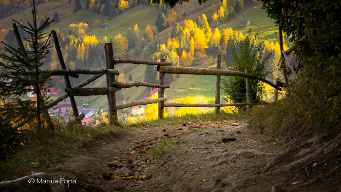 Vreme bună de plimbare FOTO Marius Popa