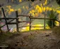 Plimbare de toamnă, prin Fundata și Moieciu de sus. FOTO Marius Popa