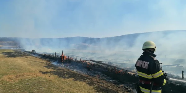 incendiu oi alba
