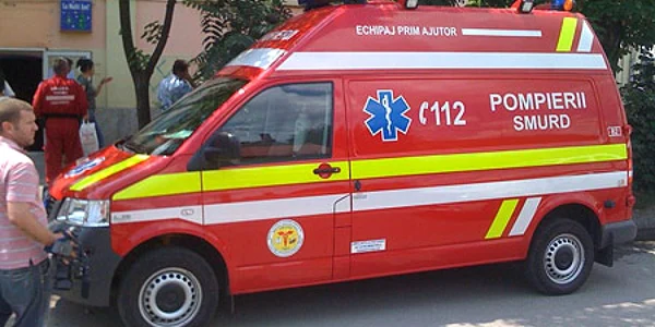 Un baietel de noua ani a fost omorat de un copac care a cazut peste el