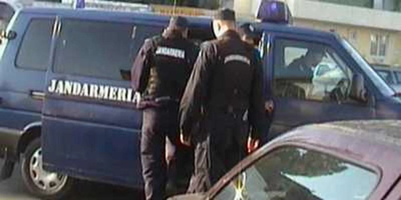Brăila, În aceeaşi zonă jandarmii au rezovat două infracţiuni