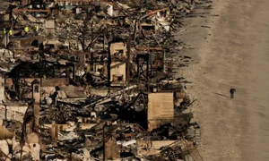 urmari incendiu LA profimedia jpg