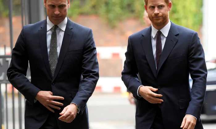 printul william printul harry profimedia 0348411040 jpg