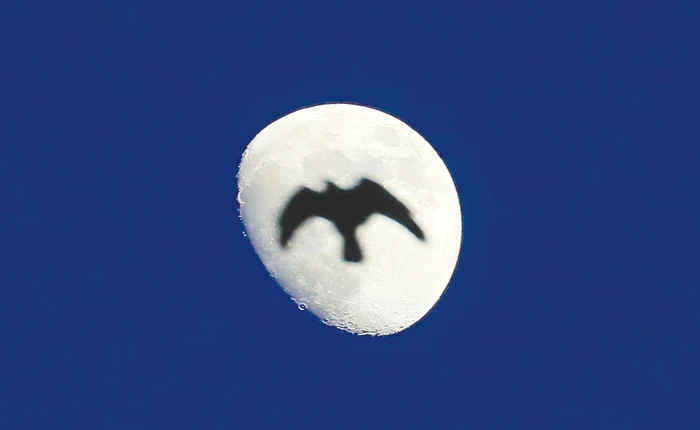 România. Bucureşti