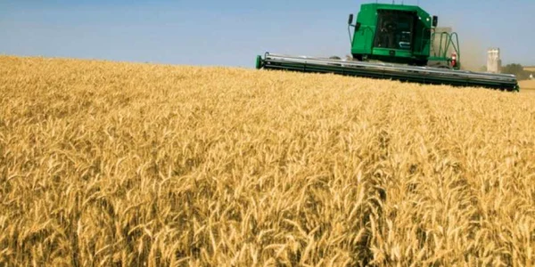 teren agricol