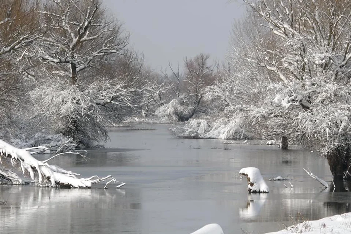 Delta Dunării.