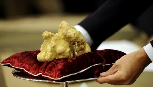 white-truffle-luxury-food