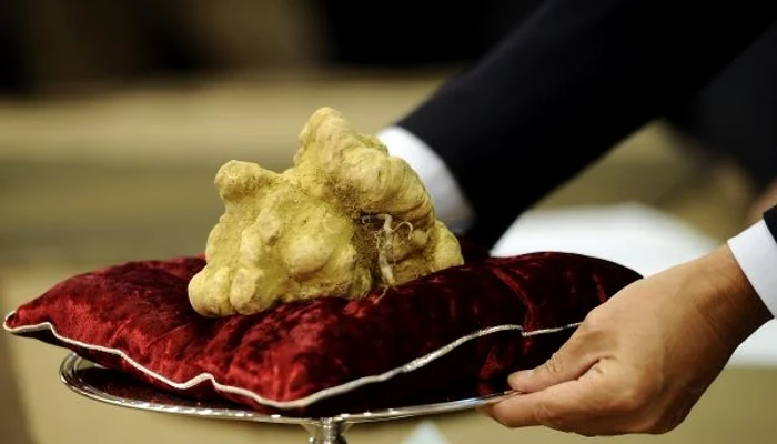 white-truffle-luxury-food
