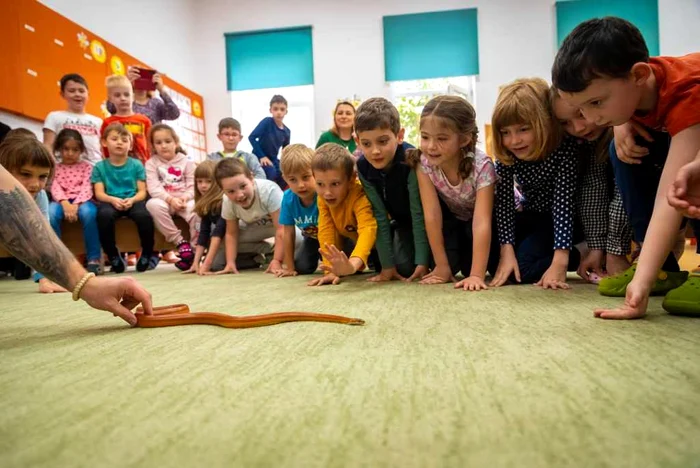 Animalele lui Mark Benedek FOTO arhivă personală