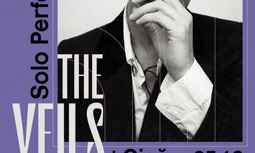 The Veils Poster Web jpg
