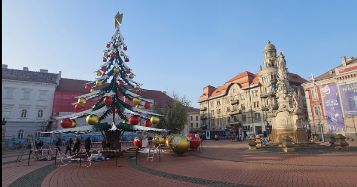 Bradul ciudat din Piața Libertății din Timișoara generează controverse: „E foarte urât!”