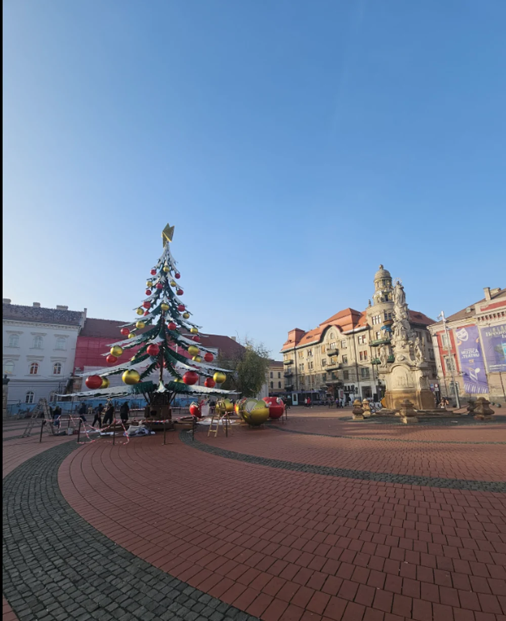 Bradul ciudat montat în Piața Libertății din Timișoara a stârnit discuții. „E urât tare, sincer”