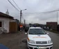 o femeie din turnu severin mâncată de propriul câine FOTO Corina Macavei