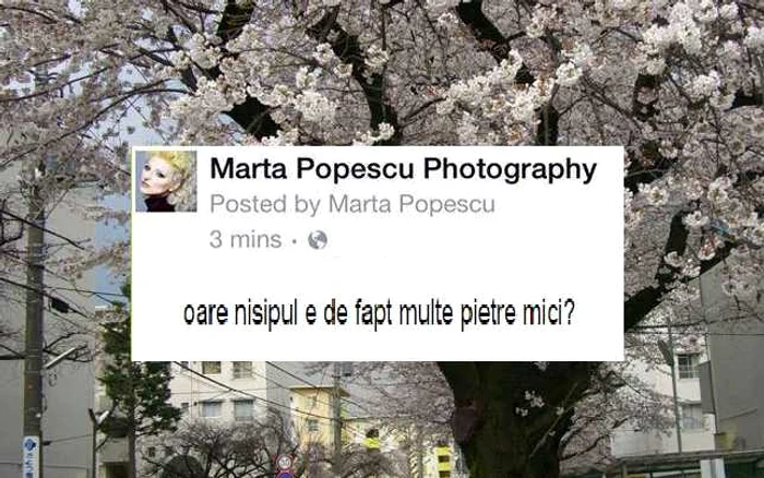 marta popescu viral fals