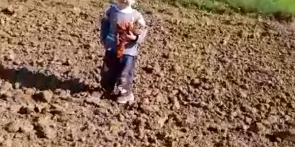 baietel disparut