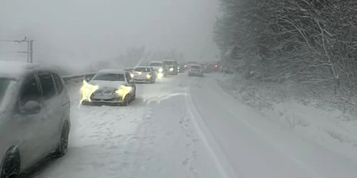 viscol valea oltului Foto FB jpg