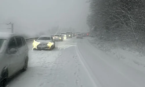 viscol valea oltului Foto FB jpg