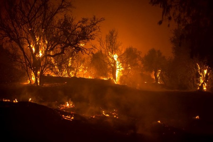 Cipru va crea un centru regional pentru combaterea incendiilor forestiere
