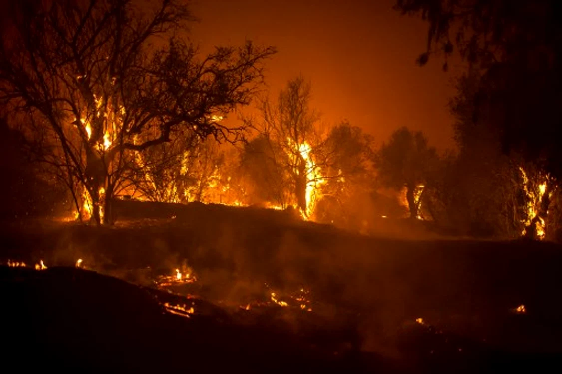 Incendiu de vegetație în Cipru. Foto: Arhiva Adevărul
