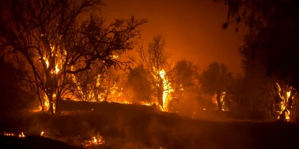incendiu cipru jpeg
