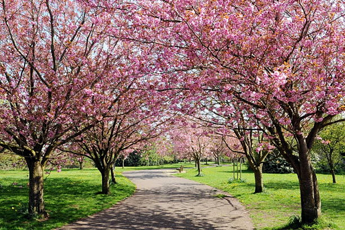 FOTO: iStock