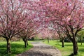 parc vara primavara istock jpg