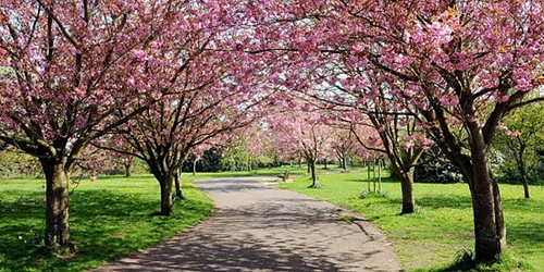 parc vara primavara istock jpg