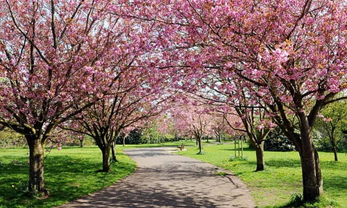 parc vara primavara istock jpg