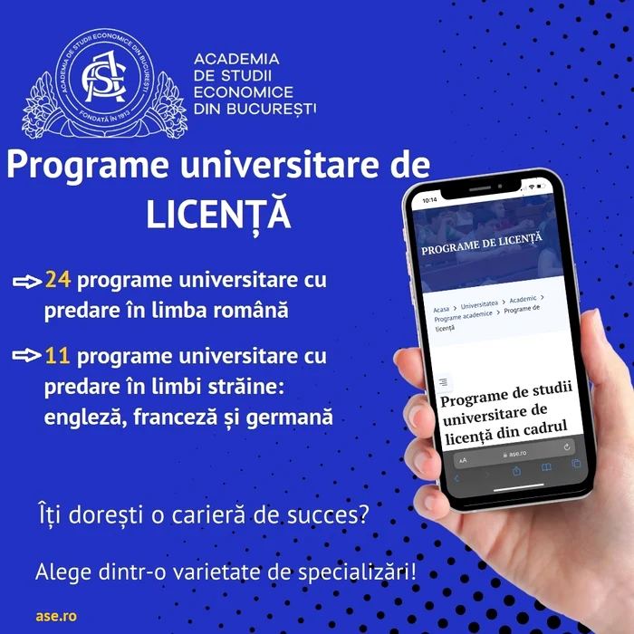 3 programe licenta jpg