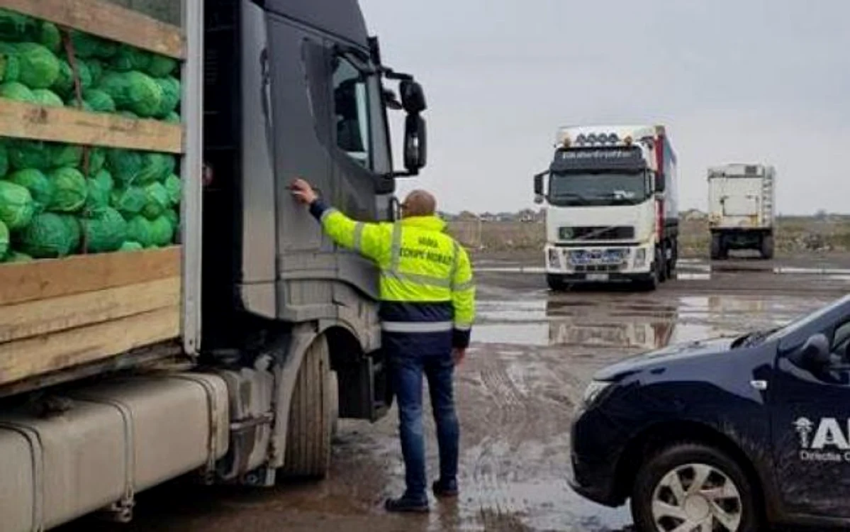 
    Inspectorii veterinari și ANAF au confiscat și distrus 81,35 tone de legume şi fructe, din TIR-urile de la vamăFOTO: ANAF  
