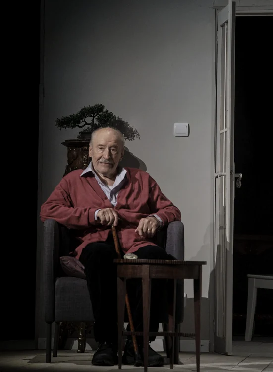 Tatăl © C. Ardeleanu