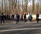 padurea stejarul braila