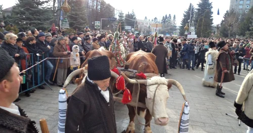 uratori suceava. FOTO Dănuţ Zuzeac