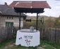Mariana Frîncu a pictat fântânile din satul Cernișoara Foto Mariana Frîncu Facebook (3) jpg