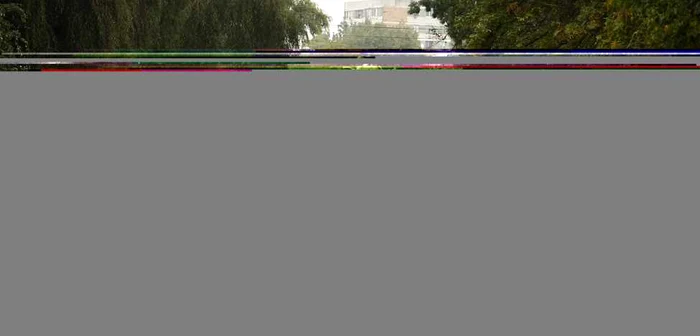 Podul Decebal a fost, la inaugurare, cel mai mare pod pe grinzi de beton armat din lume