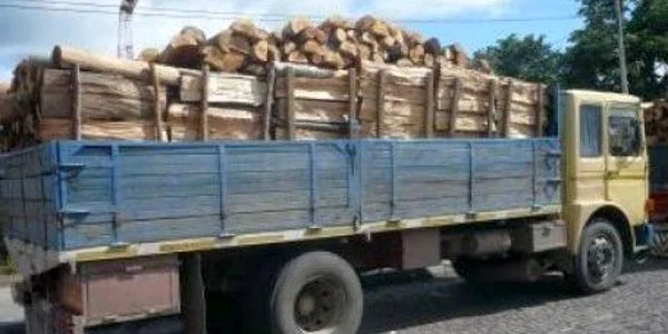 Materialul lemnos a fost confiscat de oamenii legii