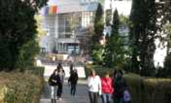 Primăria Suceava